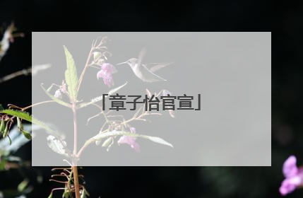 章子怡官宣