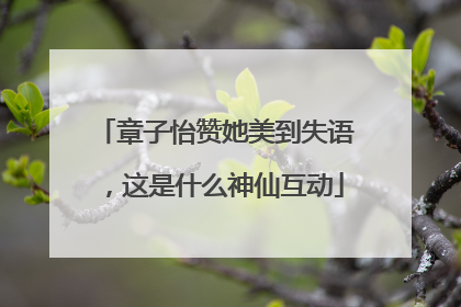 章子怡赞她美到失语，这是什么神仙互动