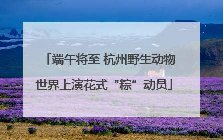 端午将至 杭州野生动物世界上演花式“粽”动员