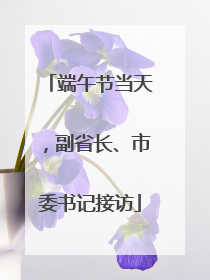 端午节当天，副省长、市委书记接访