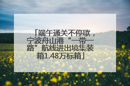 端午通关不停歇，宁波舟山港“一带一路”航线进出境集装箱1.48万标箱