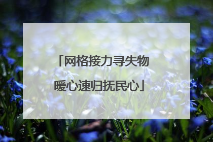 网格接力寻失物 暖心速归抚民心