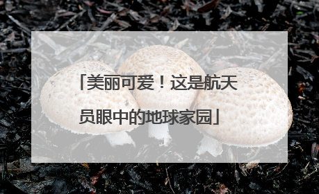 美丽可爱！这是航天员眼中的地球家园