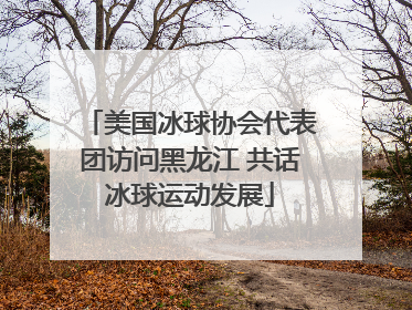 美国冰球协会代表团访问黑龙江 共话冰球运动发展