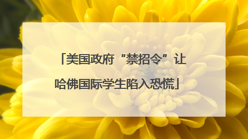 美国政府“禁招令”让哈佛国际学生陷入恐慌