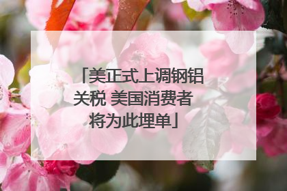 美正式上调钢铝关税 美国消费者将为此埋单