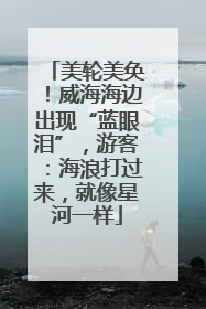 美轮美奂！威海海边出现“蓝眼泪”，游客：海浪打过来，就像星河一样