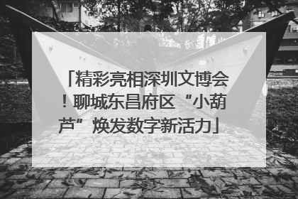 精彩亮相深圳文博会！聊城东昌府区“小葫芦”焕发数字新活力