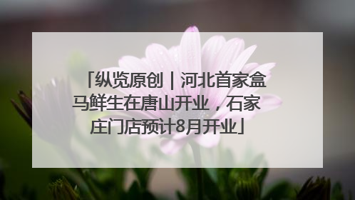 纵览原创｜河北首家盒马鲜生在唐山开业，石家庄门店预计8月开业