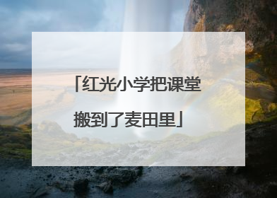 红光小学把课堂搬到了麦田里