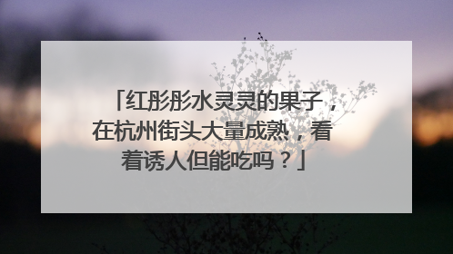 红彤彤水灵灵的果子，在杭州街头大量成熟，看着诱人但能吃吗？