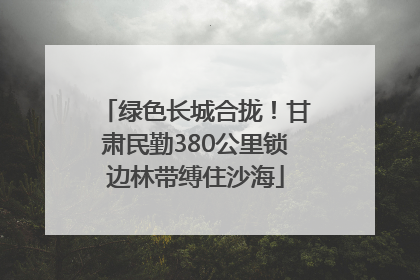 绿色长城合拢！甘肃民勤380公里锁边林带缚住沙海