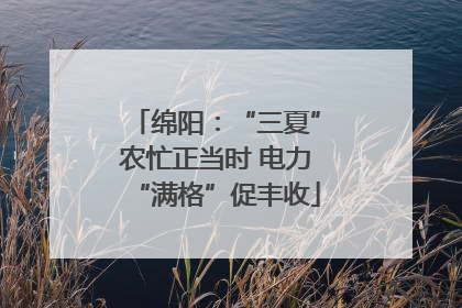 绵阳：“三夏”农忙正当时 电力“满格”促丰收