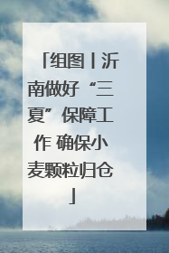组图丨沂南做好“三夏”保障工作 确保小麦颗粒归仓