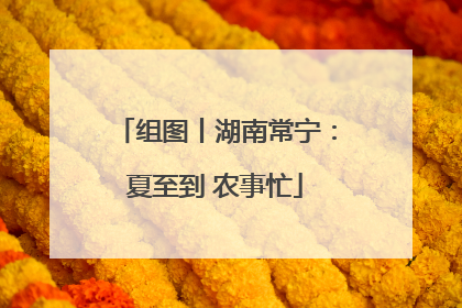 组图丨湖南常宁：夏至到 农事忙