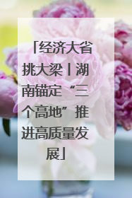 经济大省挑大梁丨湖南锚定“三个高地”推进高质量发展