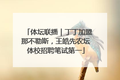 体坛联播｜丁丁加盟那不勒斯，王皓先农坛体校招聘笔试第一