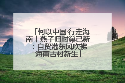 何以中国·行走海南丨燕子归时巢已新：自贸港东风吹拂 海南古村新生