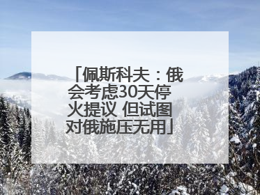 佩斯科夫：俄会考虑30天停火提议 但试图对俄施压无用