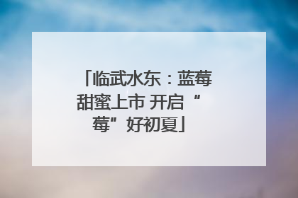 临武水东：蓝莓甜蜜上市 开启“莓”好初夏
