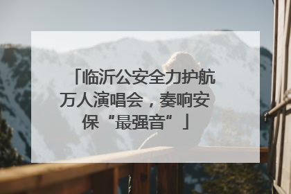 临沂公安全力护航万人演唱会，奏响安保“最强音”