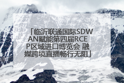 临沂联通国际SDWAN赋能第四届RCEP区域进口博览会 融媒跨境直播畅行无阻