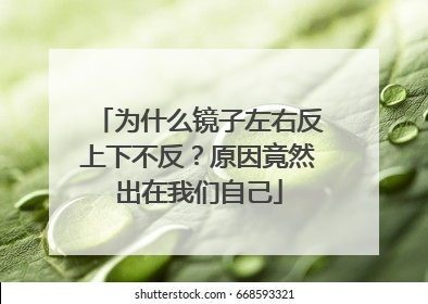 为什么镜子左右反上下不反？原因竟然出在我们自己