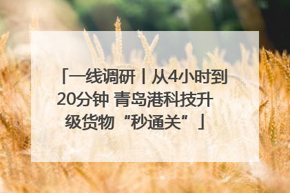 一线调研丨从4小时到20分钟 青岛港科技升级货物“秒通关”