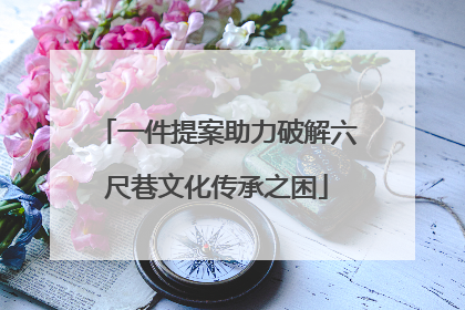 一件提案助力破解六尺巷文化传承之困