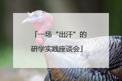 一场“出汗”的研学实践座谈会