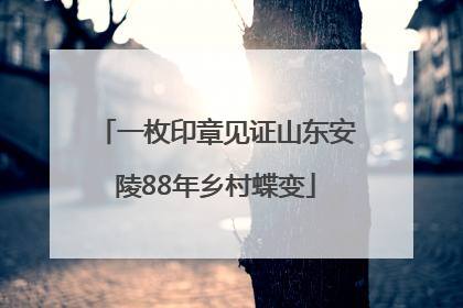 一枚印章见证山东安陵88年乡村蝶变