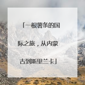 一根薯条的国际之旅，从内蒙古到斯里兰卡