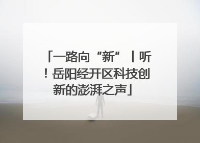 一路向“新”丨听！岳阳经开区科技创新的澎湃之声