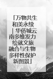 万物共生 和美永续｜华侨城云南多维发力 绘就文旅融合与生物多样性保护新图景