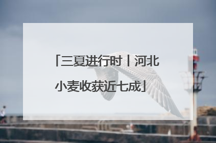 三夏进行时丨河北小麦收获近七成