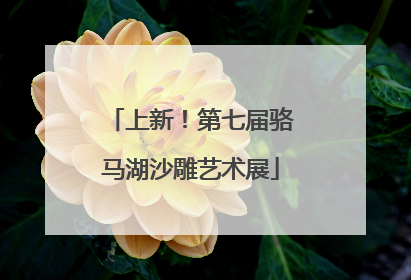 上新！第七届骆马湖沙雕艺术展