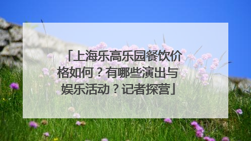 上海乐高乐园餐饮价格如何？有哪些演出与娱乐活动？记者探营
