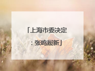 上海市委决定：张鸣履新