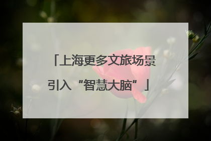 上海更多文旅场景引入“智慧大脑”
