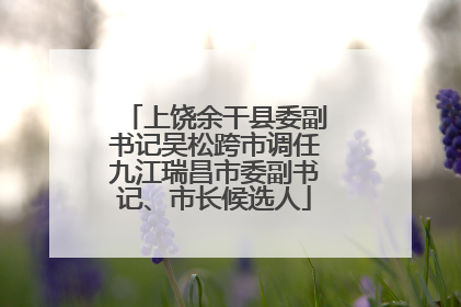 上饶余干县委副书记吴松跨市调任九江瑞昌市委副书记、市长候选人