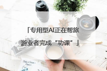 专用型AI正在帮旅游业者完成“功课”