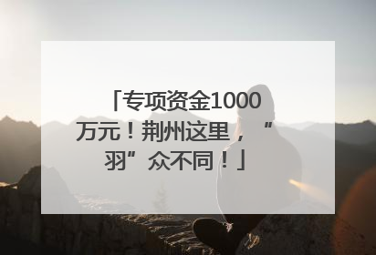 专项资金1000万元！荆州这里，“羽”众不同！