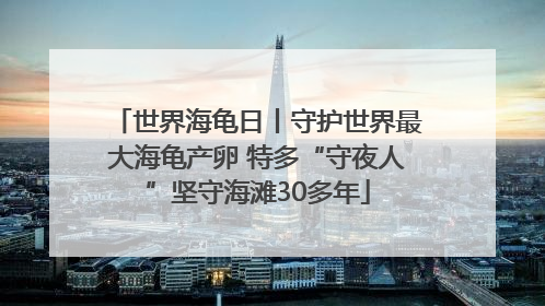 世界海龟日丨守护世界最大海龟产卵 特多“守夜人”坚守海滩30多年