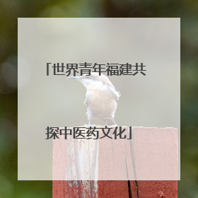 世界青年福建共探中医药文化