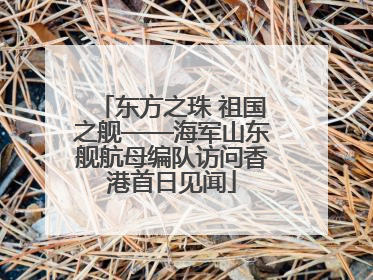 东方之珠 祖国之舰——海军山东舰航母编队访问香港首日见闻