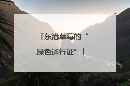 东港草莓的“绿色通行证”