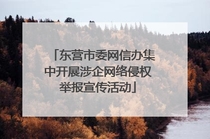 东营市委网信办集中开展涉企网络侵权举报宣传活动