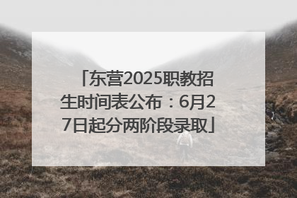 东营2025职教招生时间表公布：6月27日起分两阶段录取