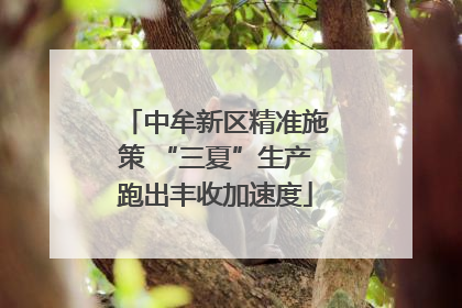 中牟新区精准施策 “三夏”生产跑出丰收加速度