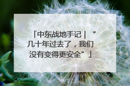 中东战地手记｜“几十年过去了，我们没有变得更安全”